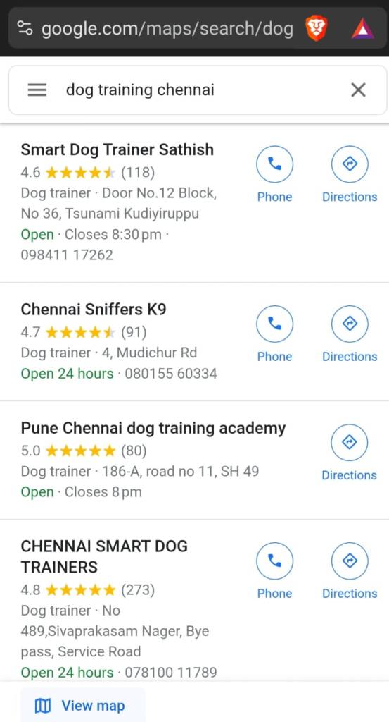 Dog trainers in Chennai on Brave browser